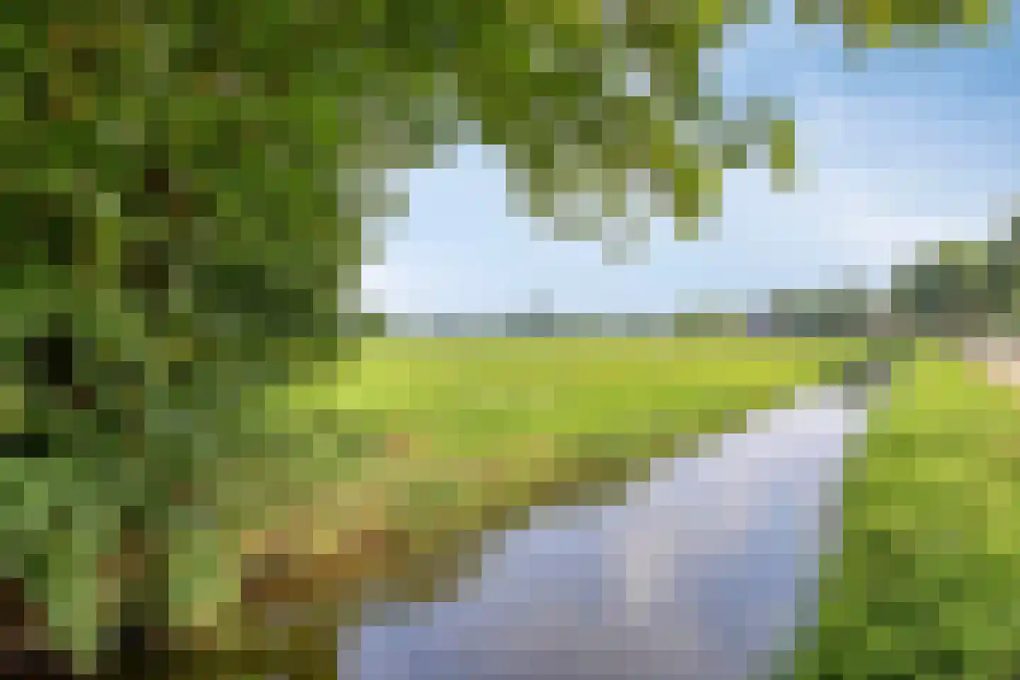 Schapendijk 10 Punthorst thumbnail 74
