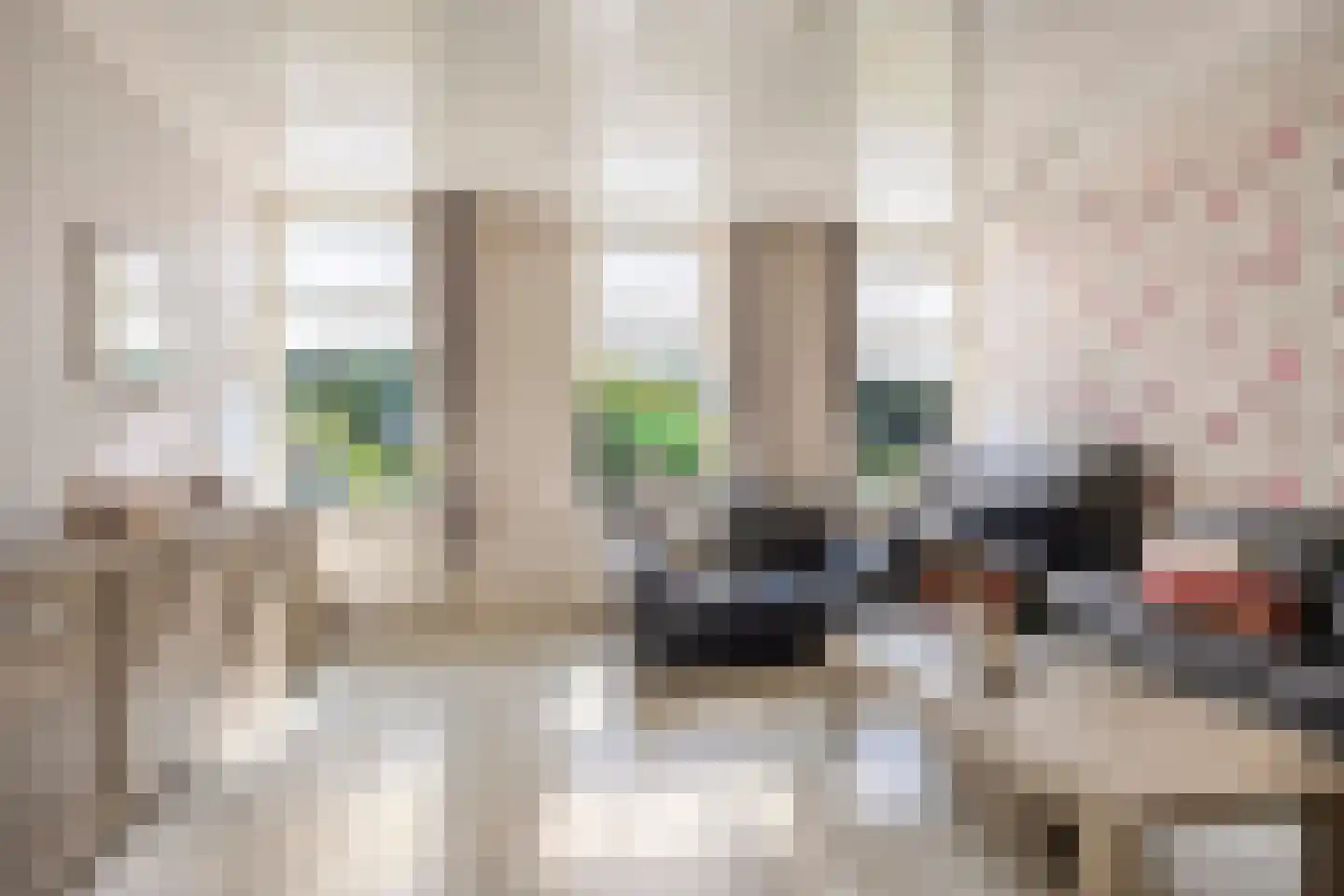 Schapendijk 10 Punthorst thumbnail 9
