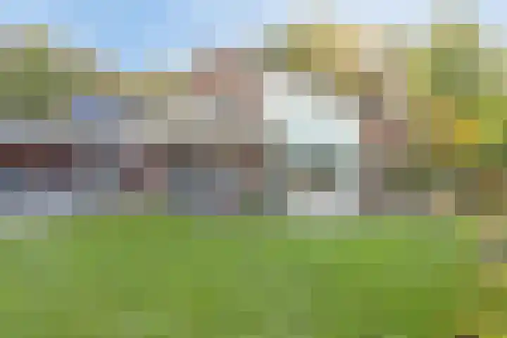 Schapendijk 18 Oldenzaal thumbnail 4