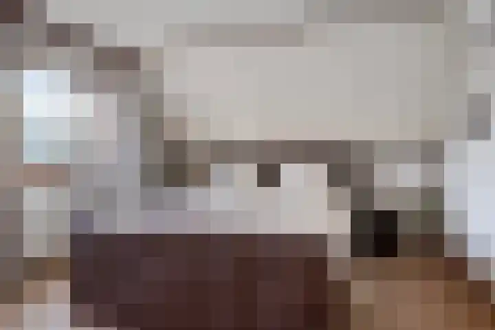 Schapendijk 22 Almelo thumbnail 15