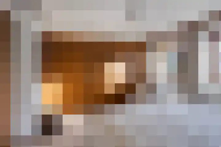 Schapendijk 22 Almelo thumbnail 16