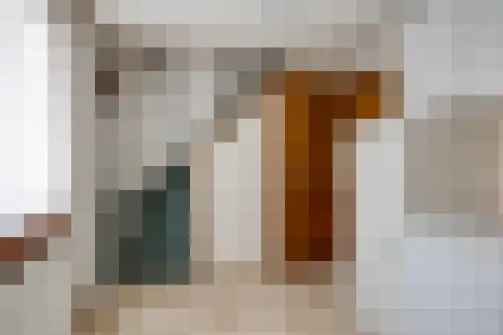 Schapendijk 22 Almelo thumbnail 21