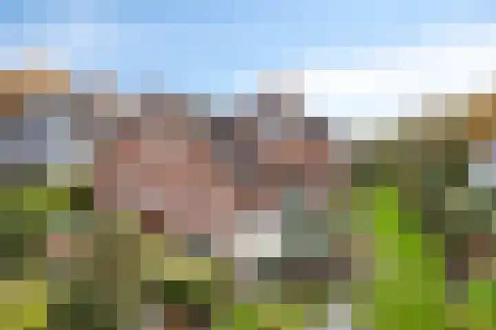 Schapendijk 22 Almelo thumbnail 25