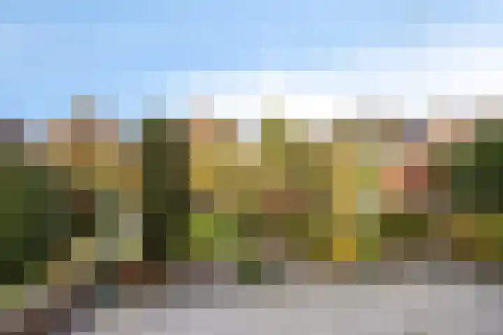 Schapendijk 22 Almelo thumbnail 26