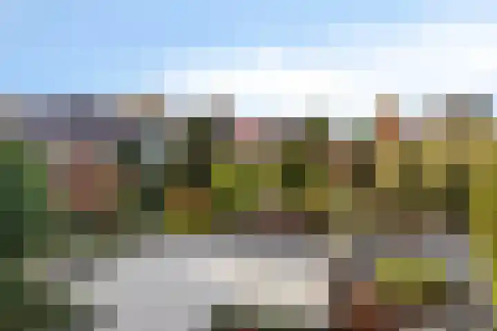 Schapendijk 22 Almelo thumbnail 28