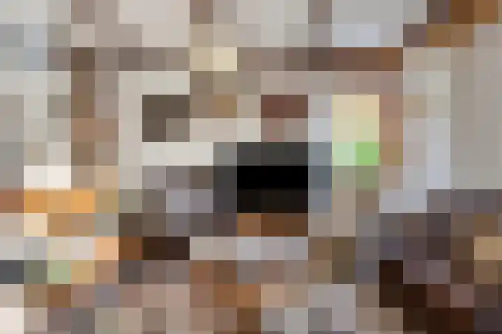 Schapendijk 22 Almelo thumbnail 5