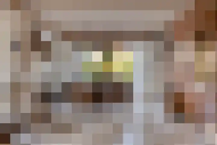 Schapendijk 22 Almelo thumbnail 8