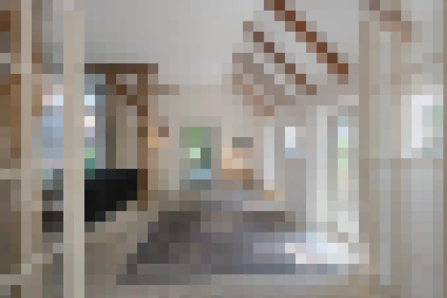 Schapendijk 25 Notter thumbnail 10