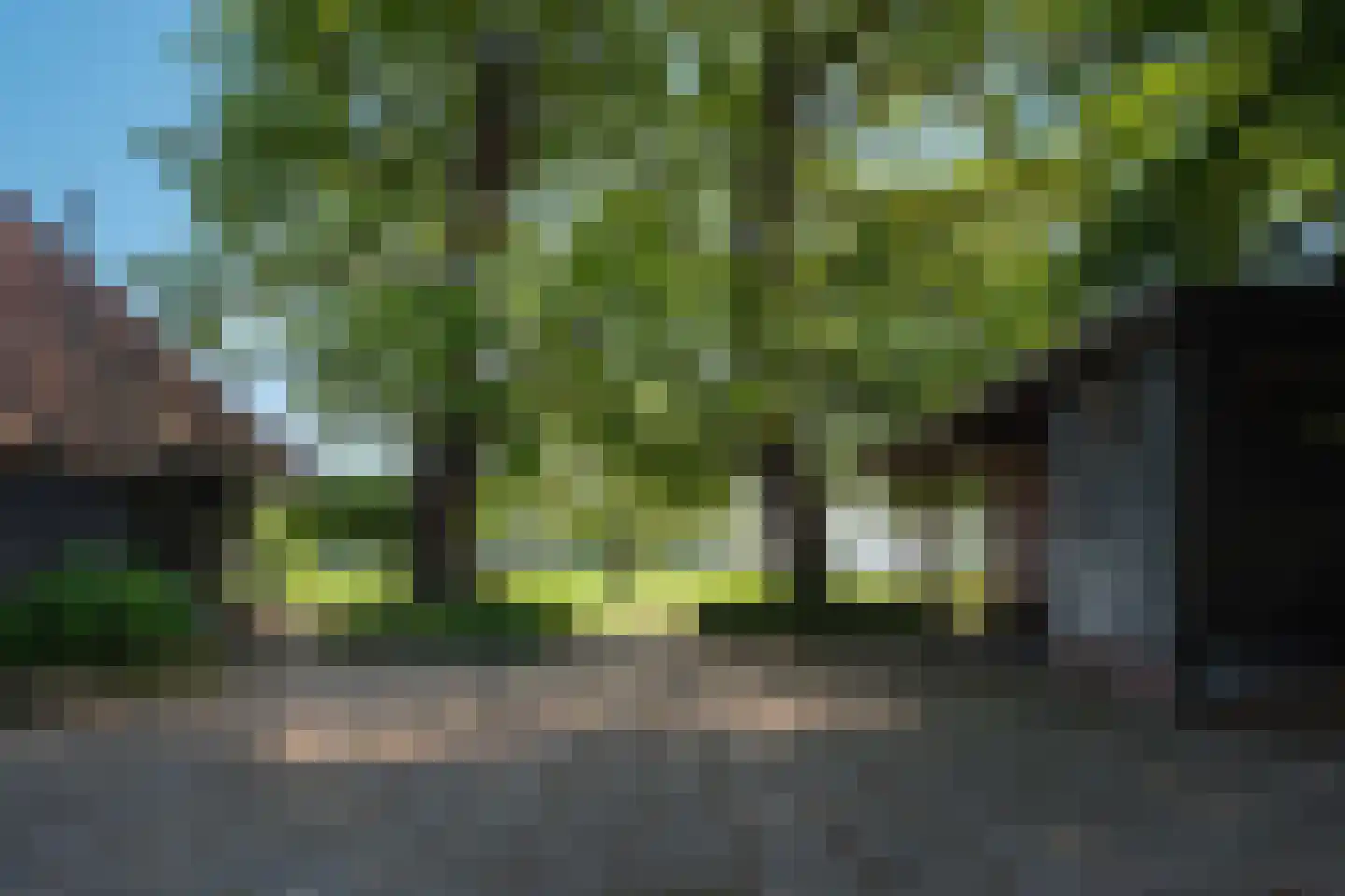 Schapendijk 25 Notter thumbnail 38