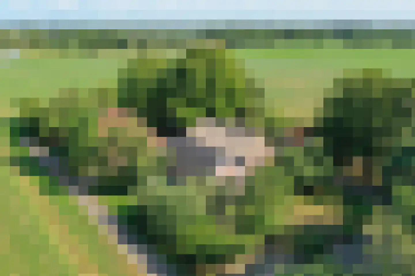 Schapendijk 25 Notter thumbnail 4