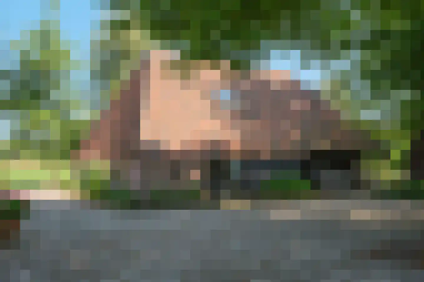 Schapendijk 25 Notter thumbnail 41