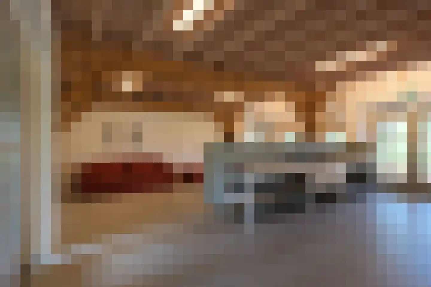 Schapendijk 25 Notter thumbnail 42