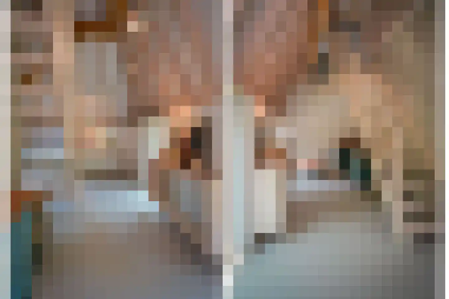 Schapendijk 25 Notter thumbnail 49