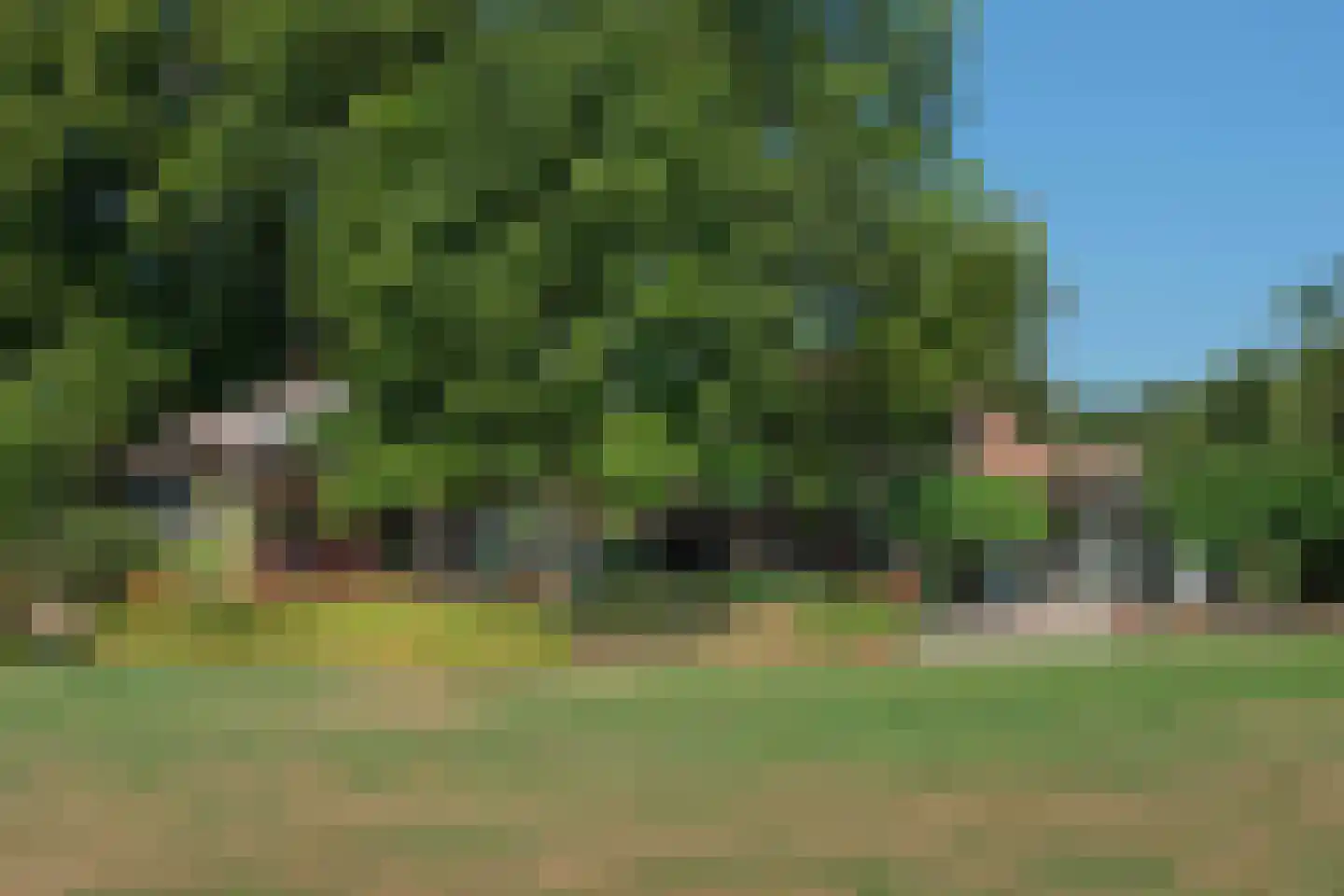 Schapendijk 25 Notter thumbnail 61