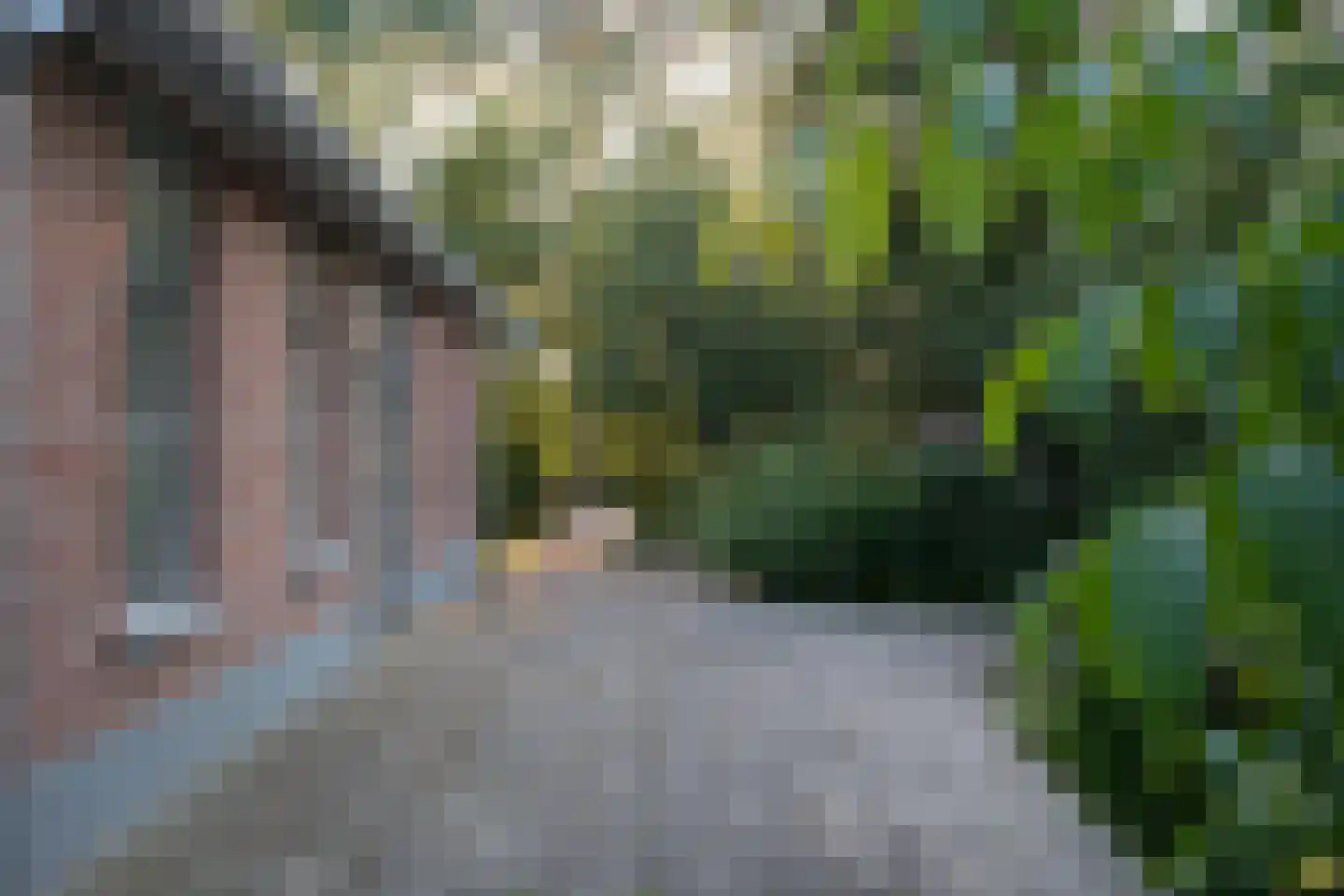 Schapendijk 25 Notter thumbnail 62