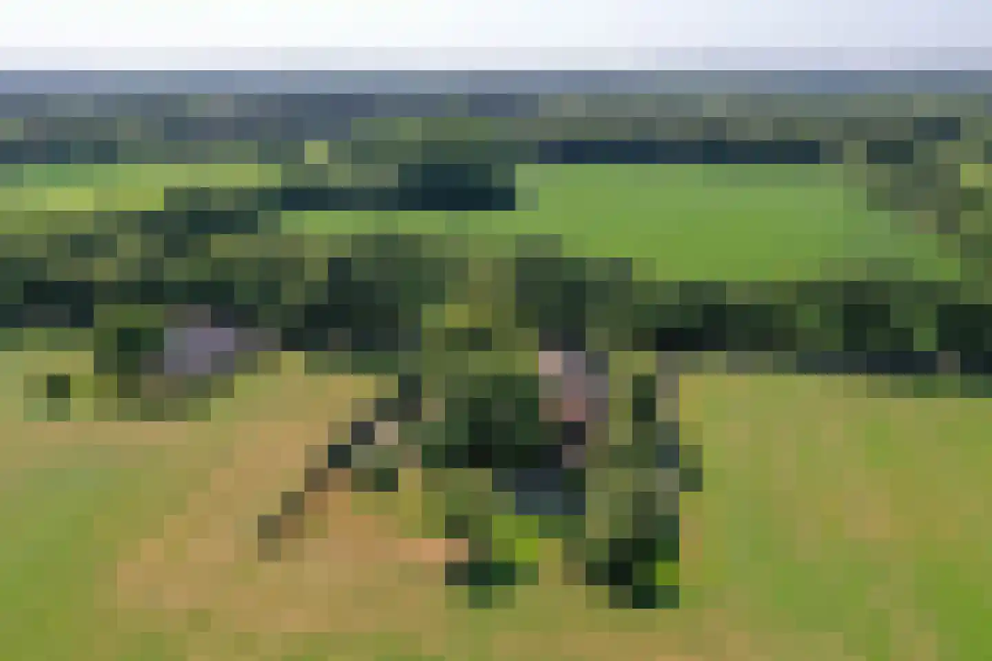 Schapendijk 25 Notter thumbnail 62