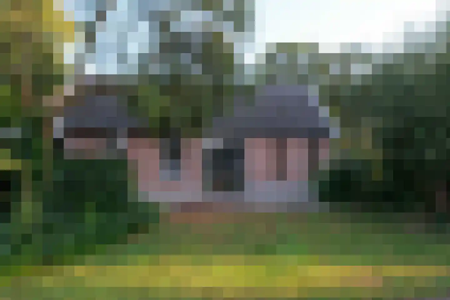 Schapendijk 25 Notter thumbnail 63