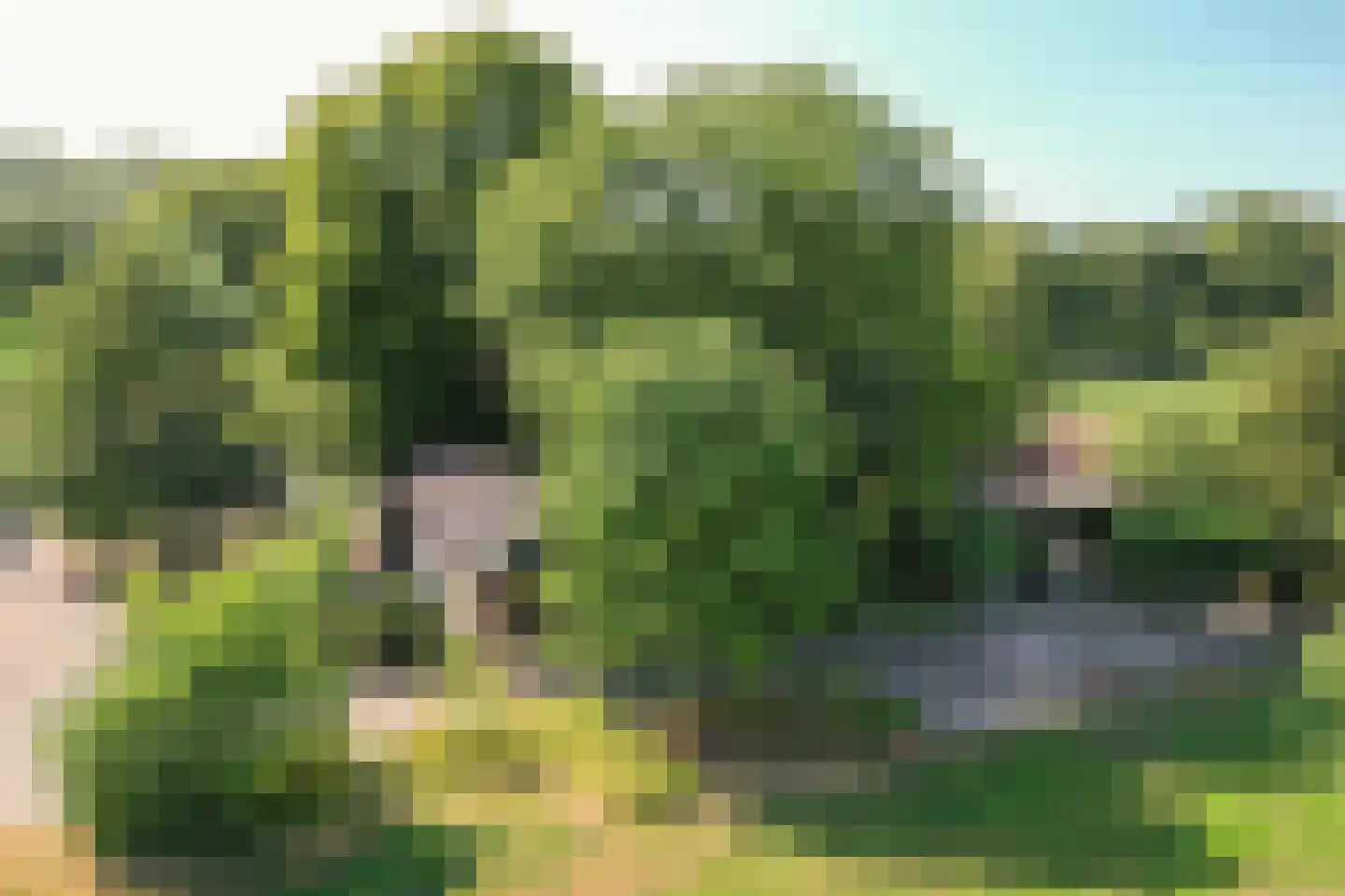 Schapendijk 25 Notter thumbnail 63