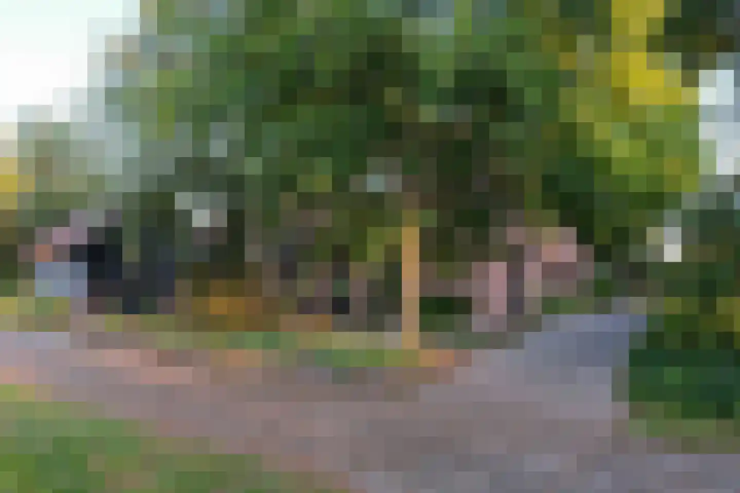 Schapendijk 25 Notter thumbnail 64