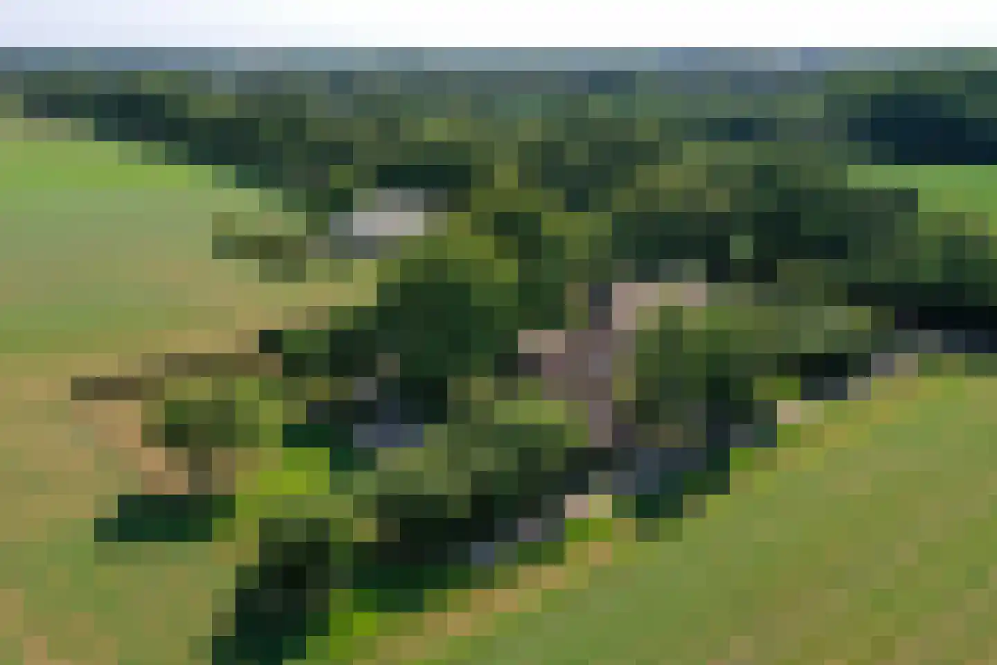 Schapendijk 25 Notter thumbnail 64