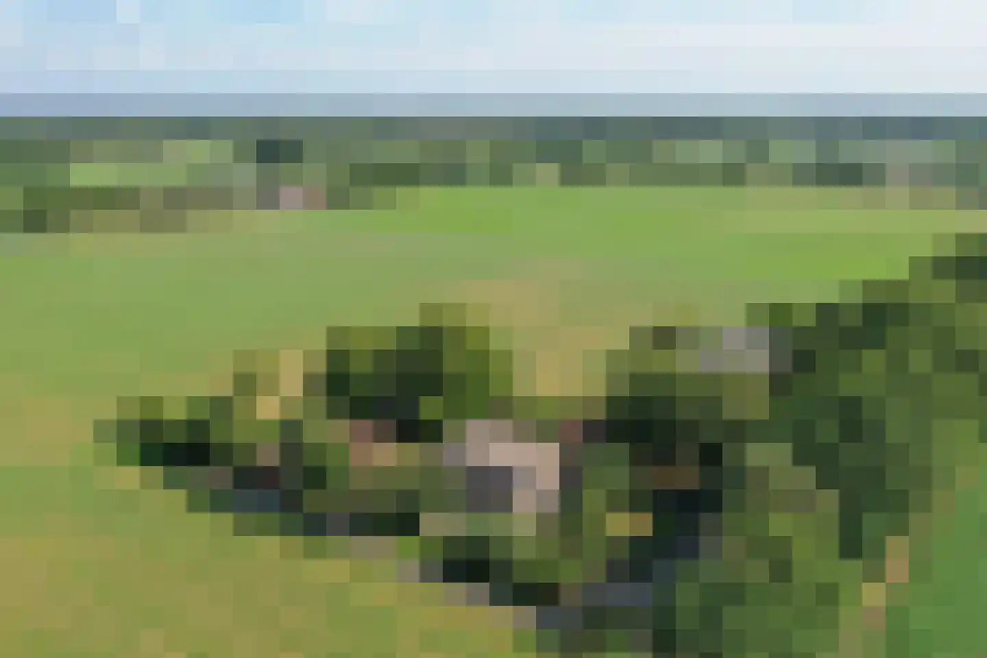 Schapendijk 25 Notter thumbnail 65