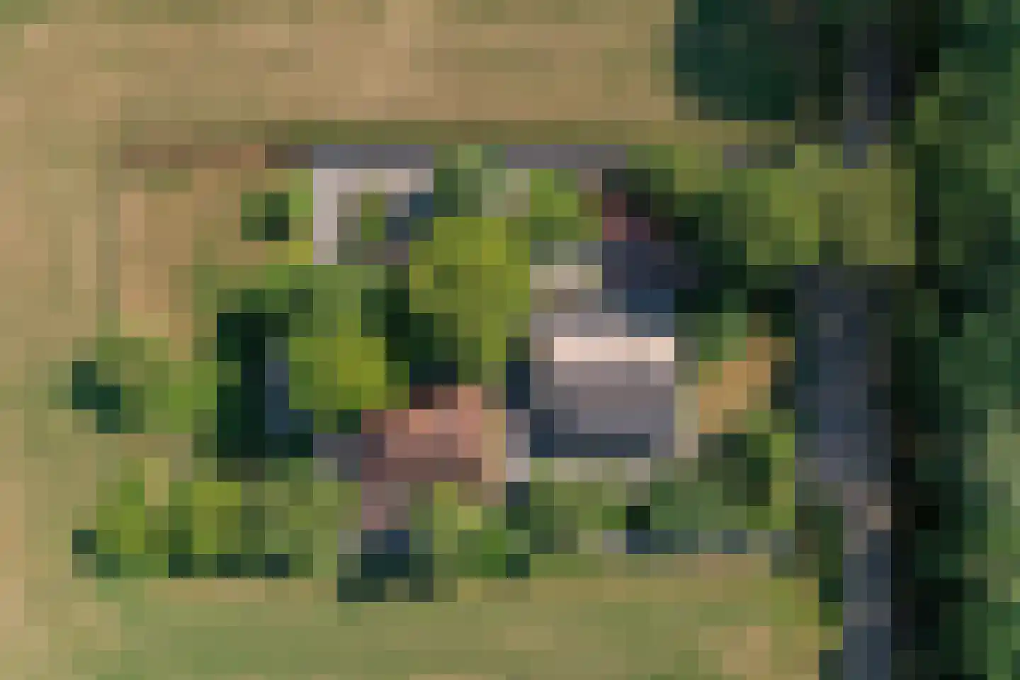 Schapendijk 25 Notter thumbnail 66