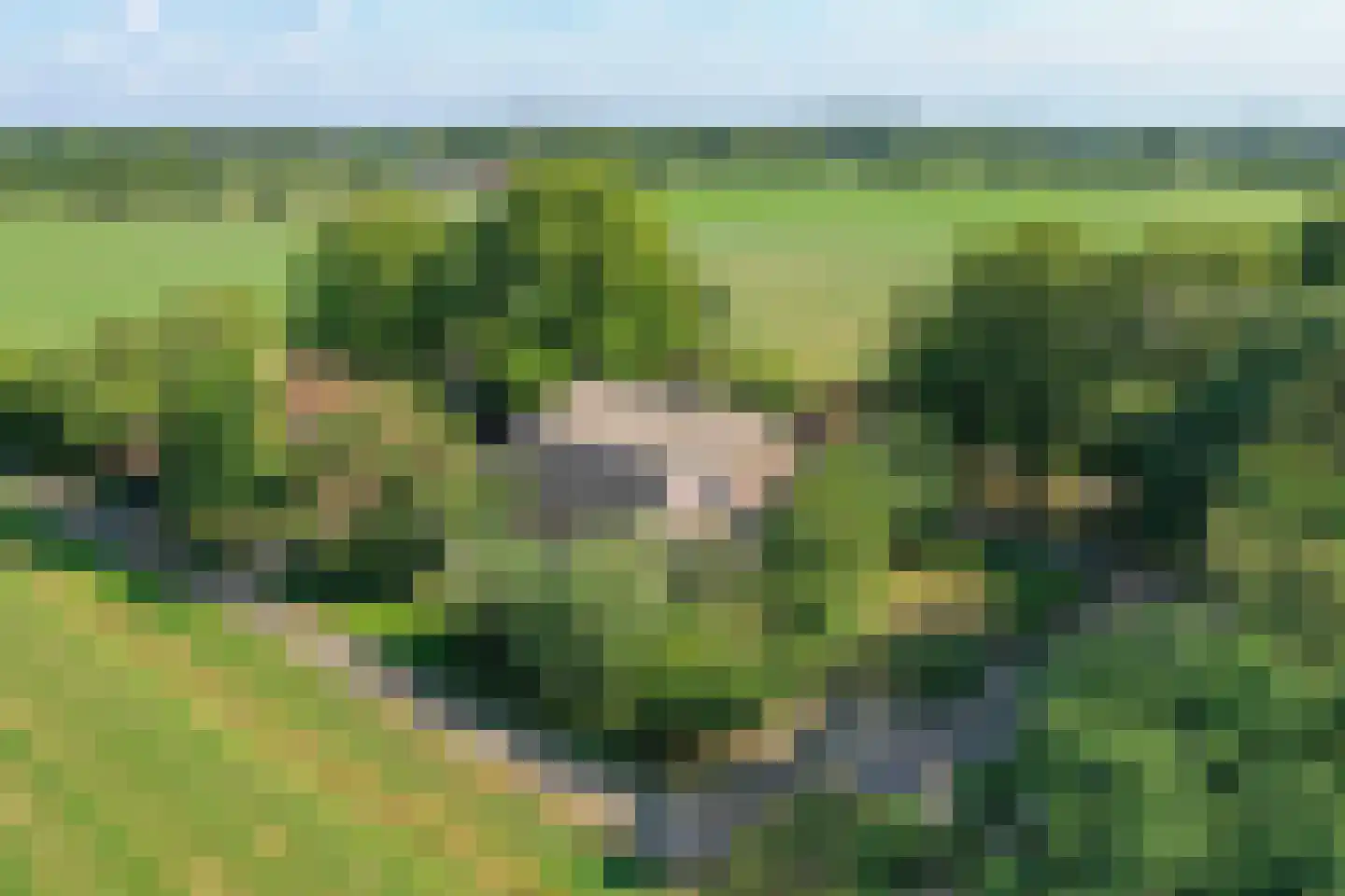 Schapendijk 25 Notter thumbnail 69