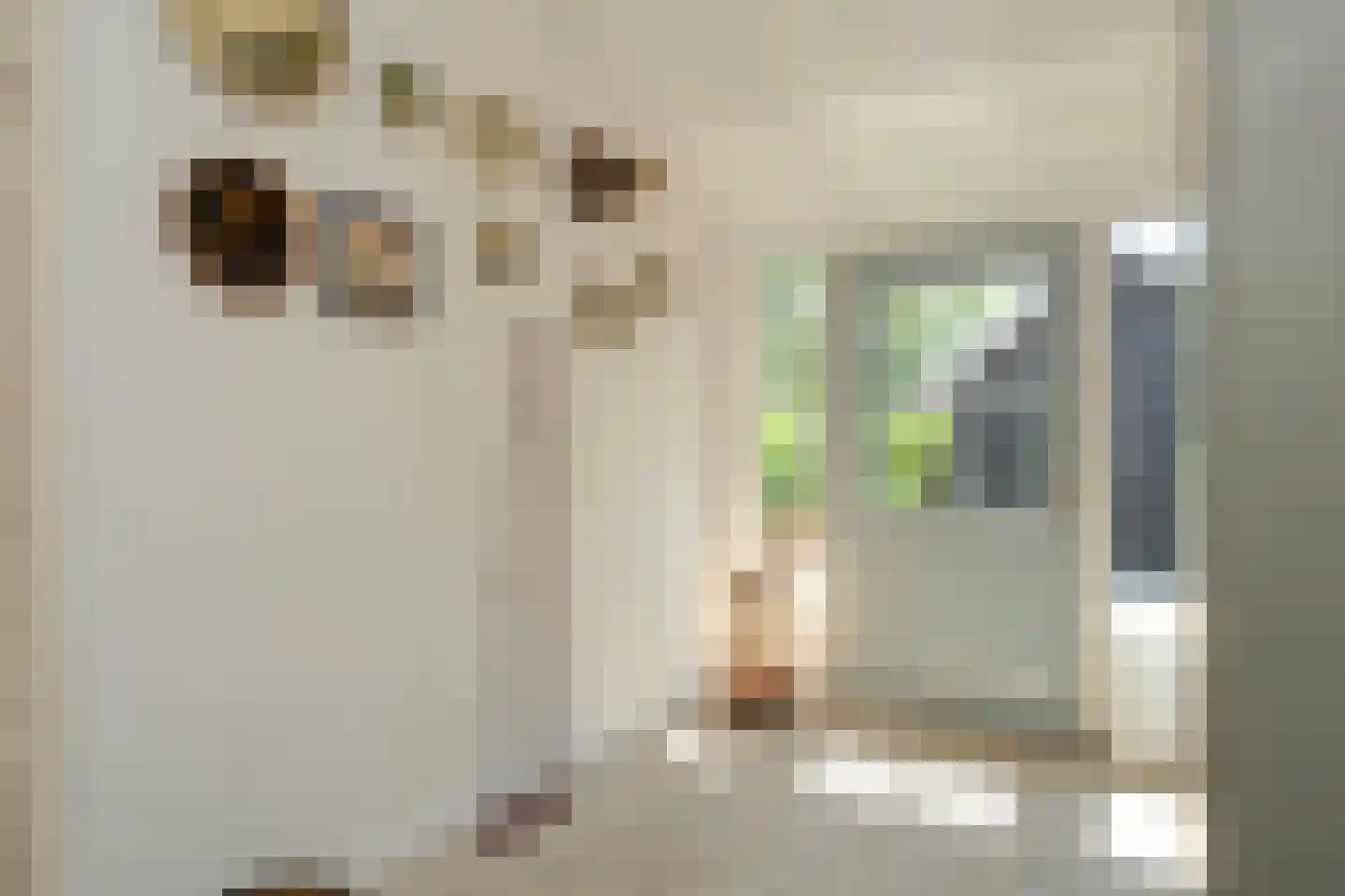 Schapendijk 25 Notter thumbnail 7