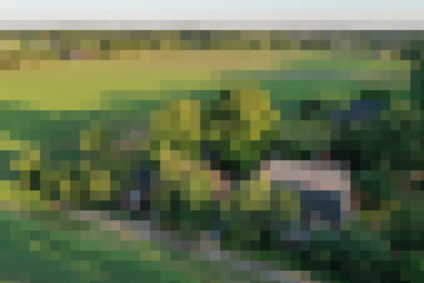 Schapendijk 25 Notter thumbnail 73