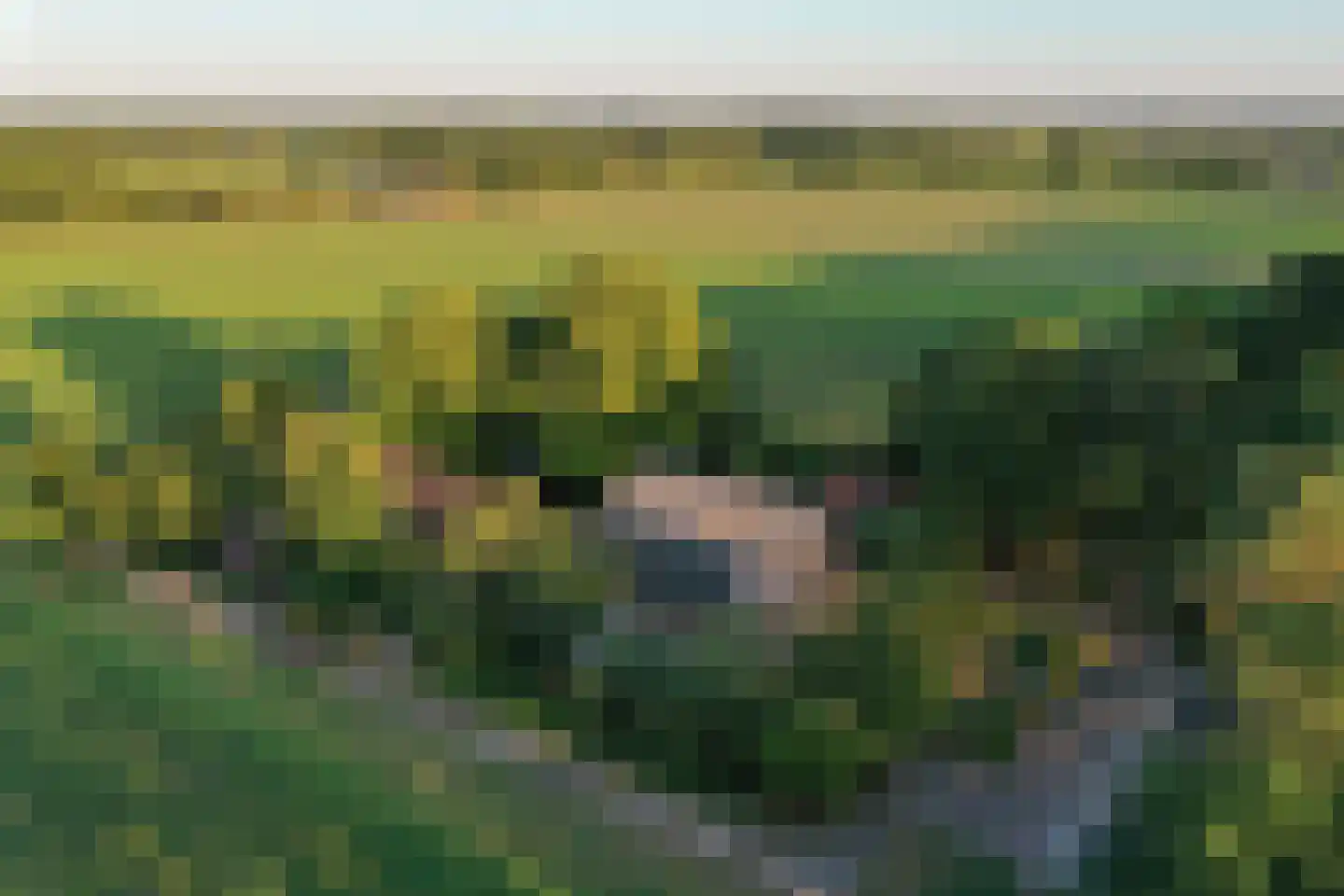 Schapendijk 25 Notter thumbnail 76