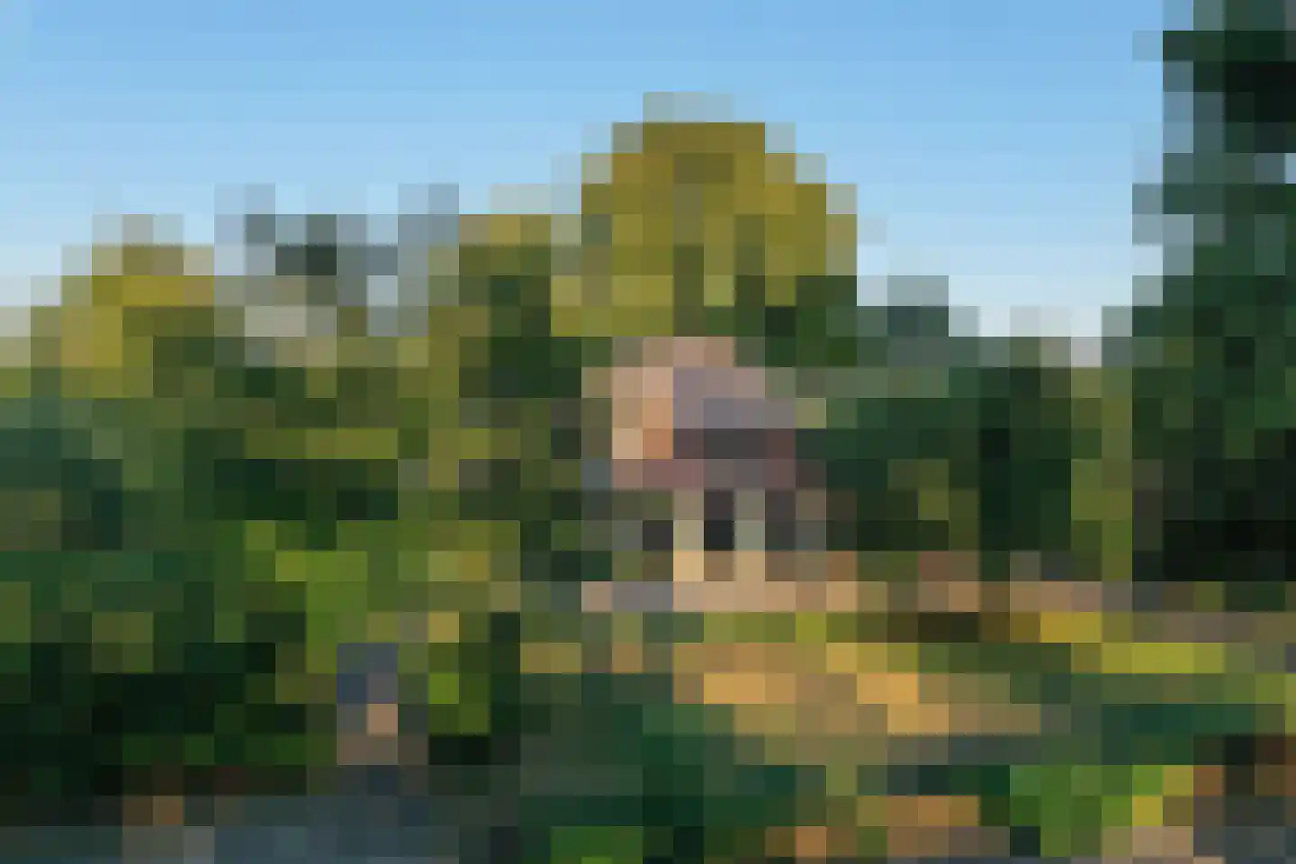 Schapendijk 25 Notter thumbnail 77