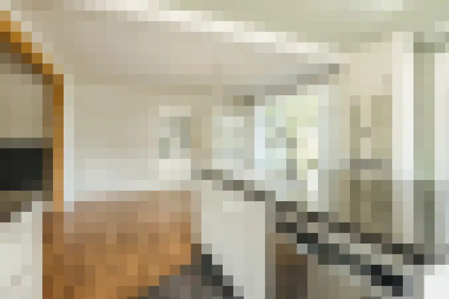 Schapendijk 28 Punthorst thumbnail 17