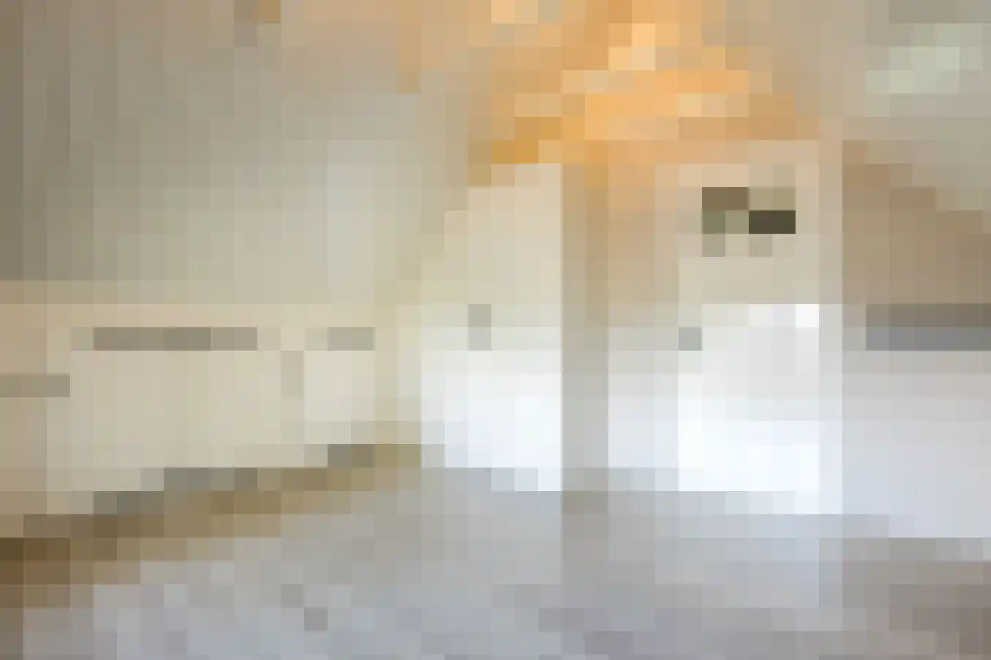 Schapendijk 28 Punthorst thumbnail 28