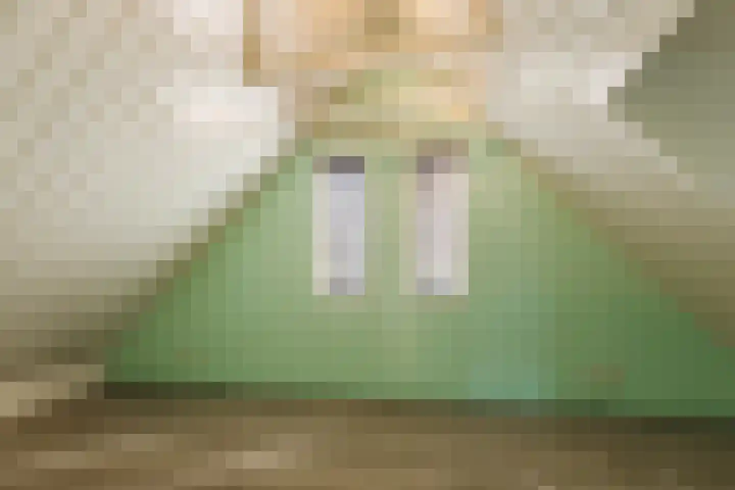 Schapendijk 28 Punthorst thumbnail 32