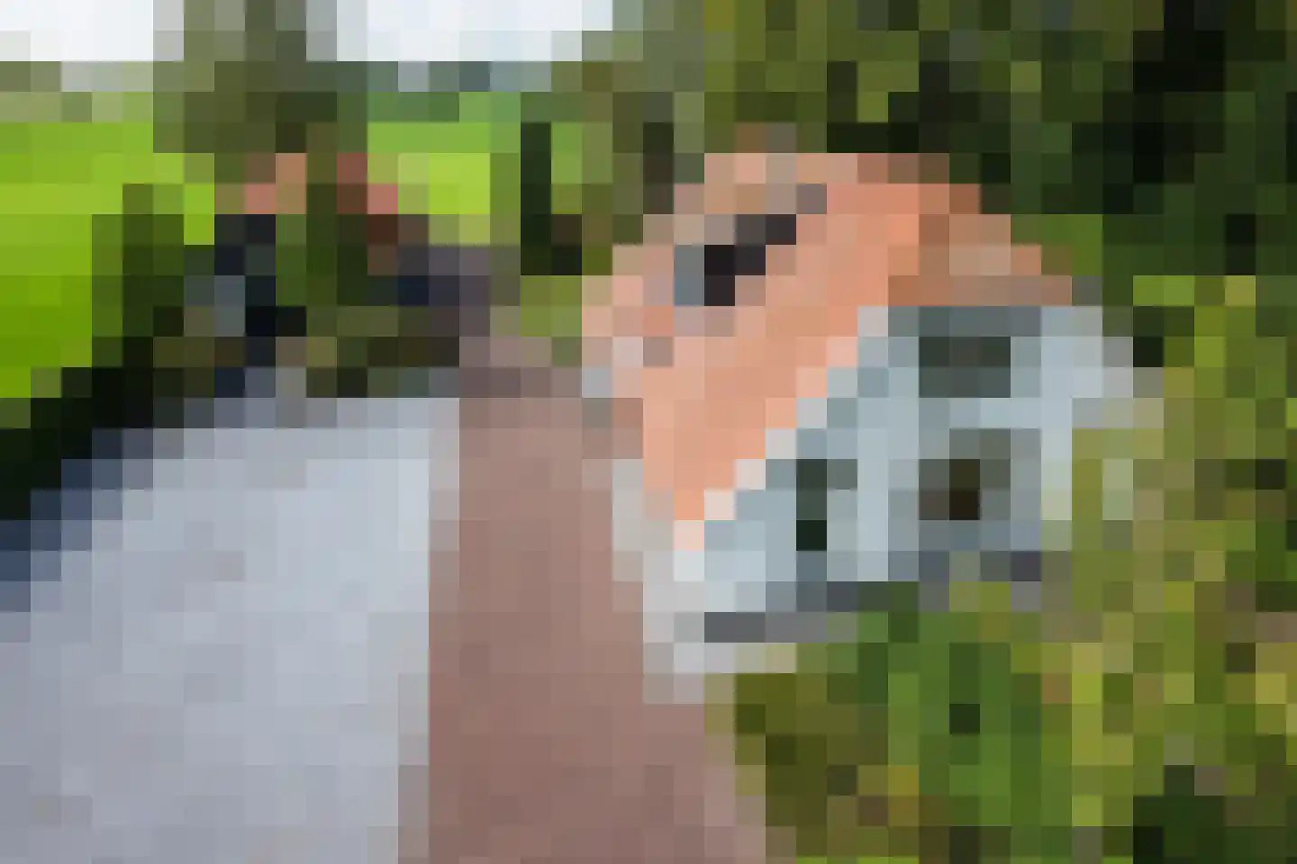 Schapendijk 28 Punthorst thumbnail 35