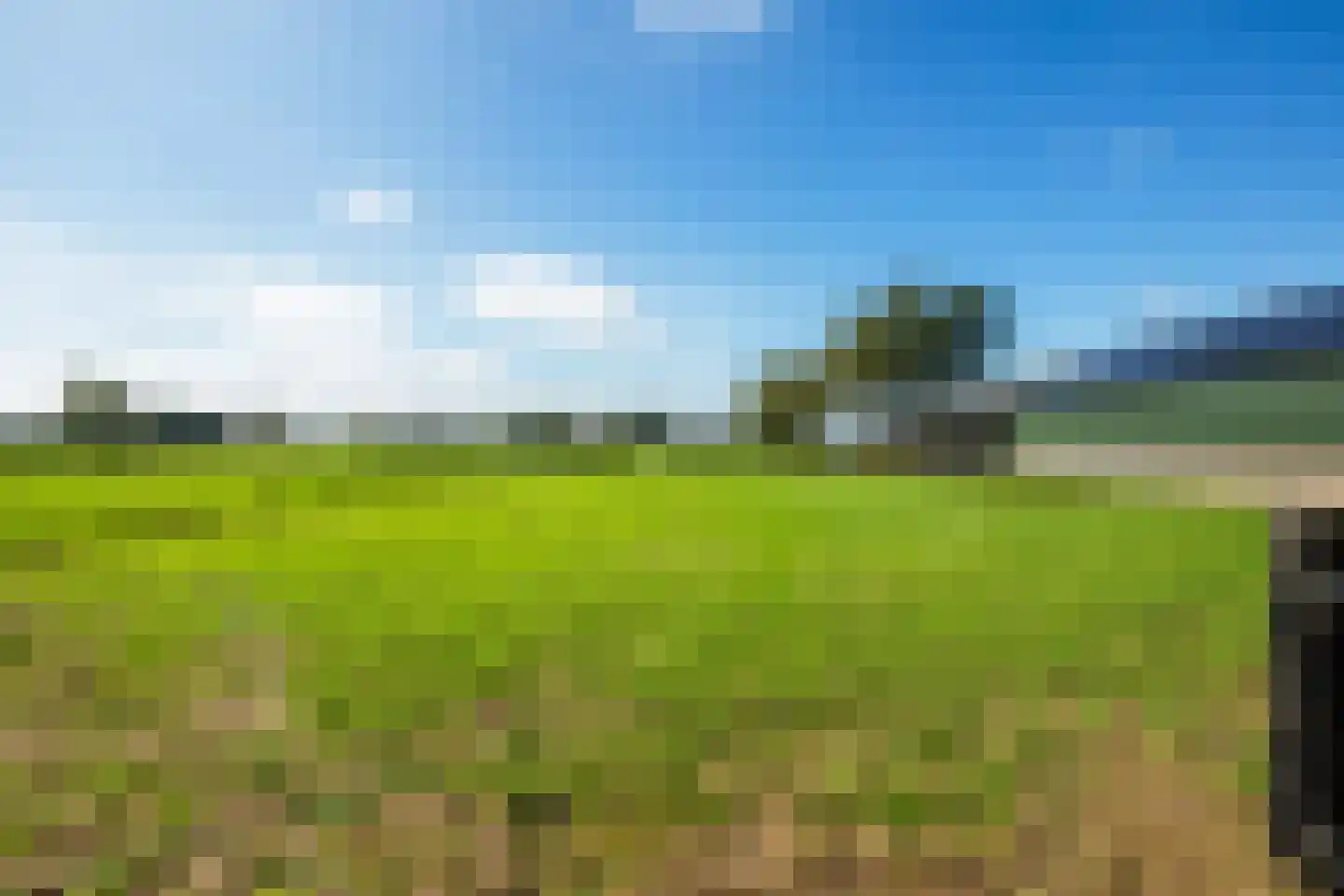 Schapendijk 28 Punthorst thumbnail 38