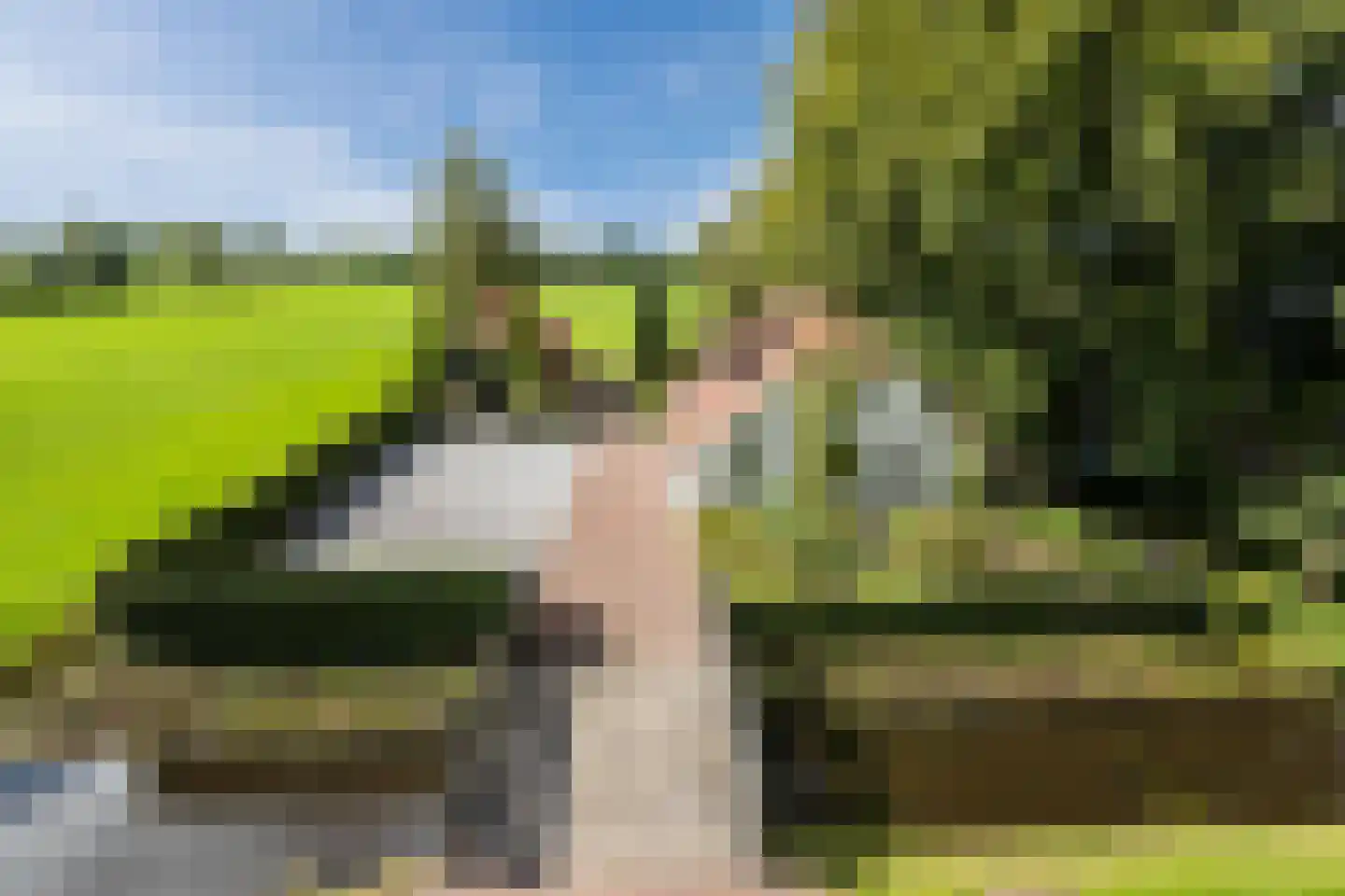 Schapendijk 28 Punthorst thumbnail 4