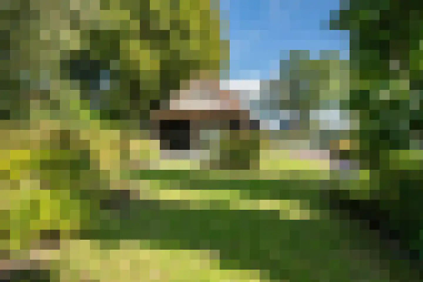 Schapendijk 28 Punthorst thumbnail 43