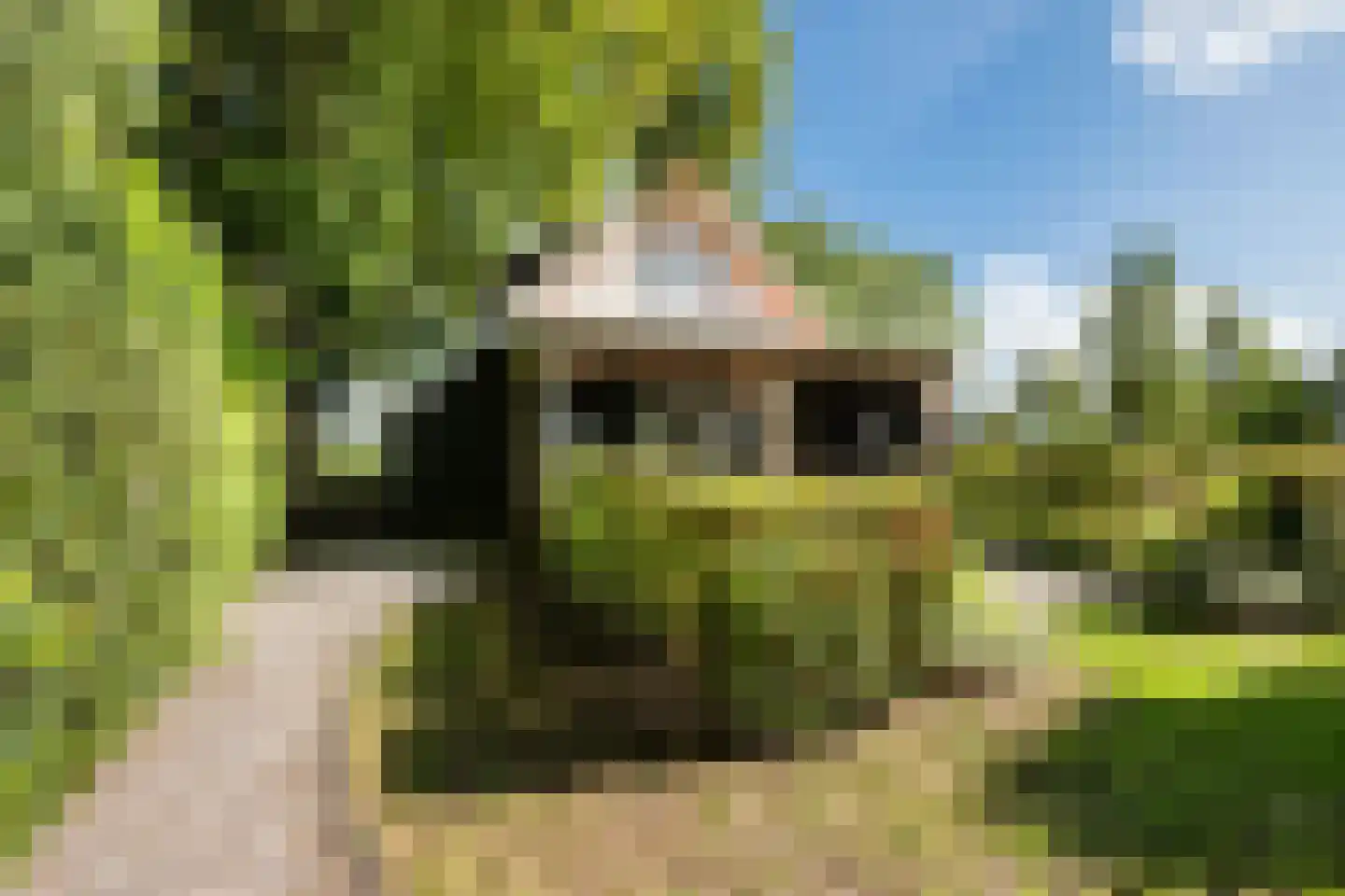 Schapendijk 28 Punthorst thumbnail 44