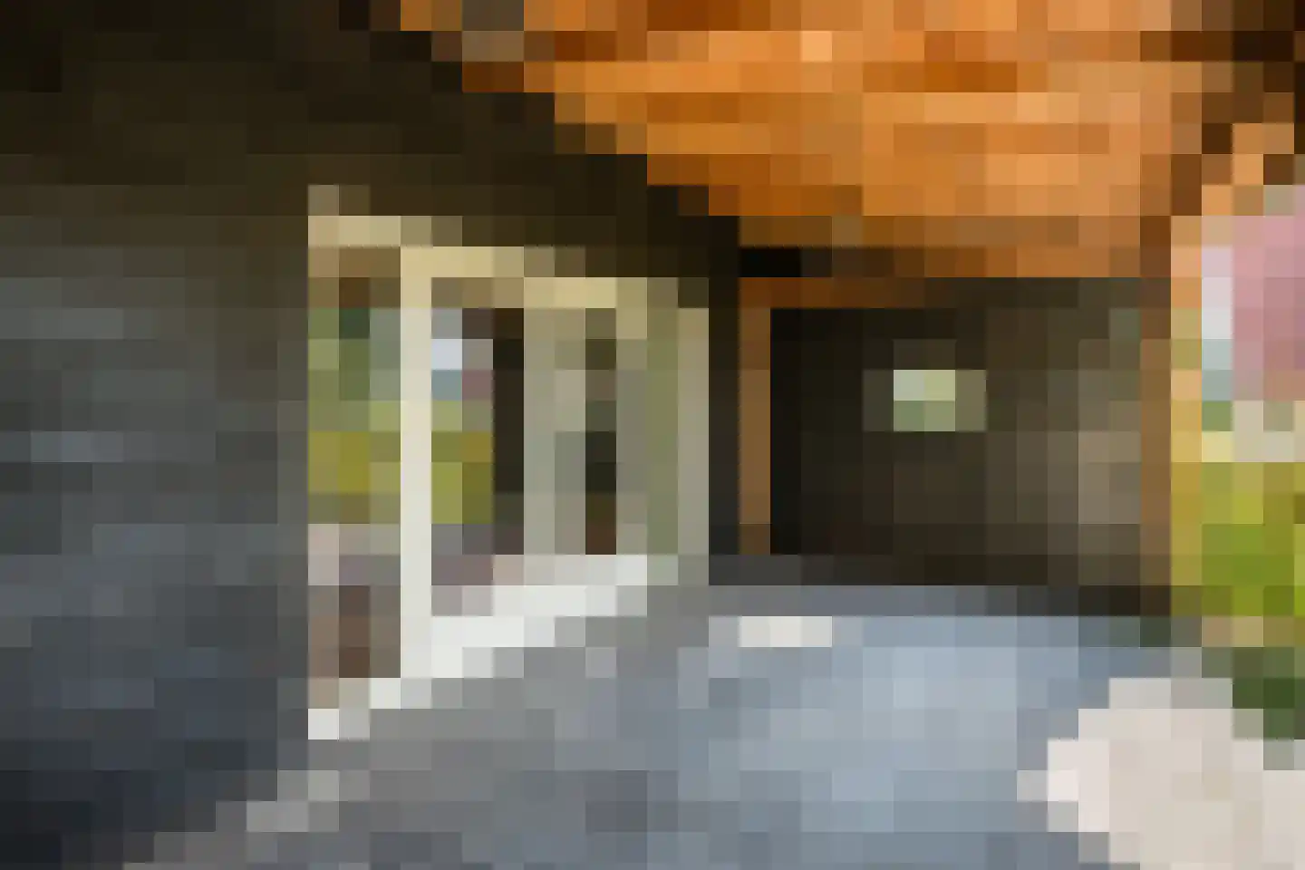 Schapendijk 28 Punthorst thumbnail 46