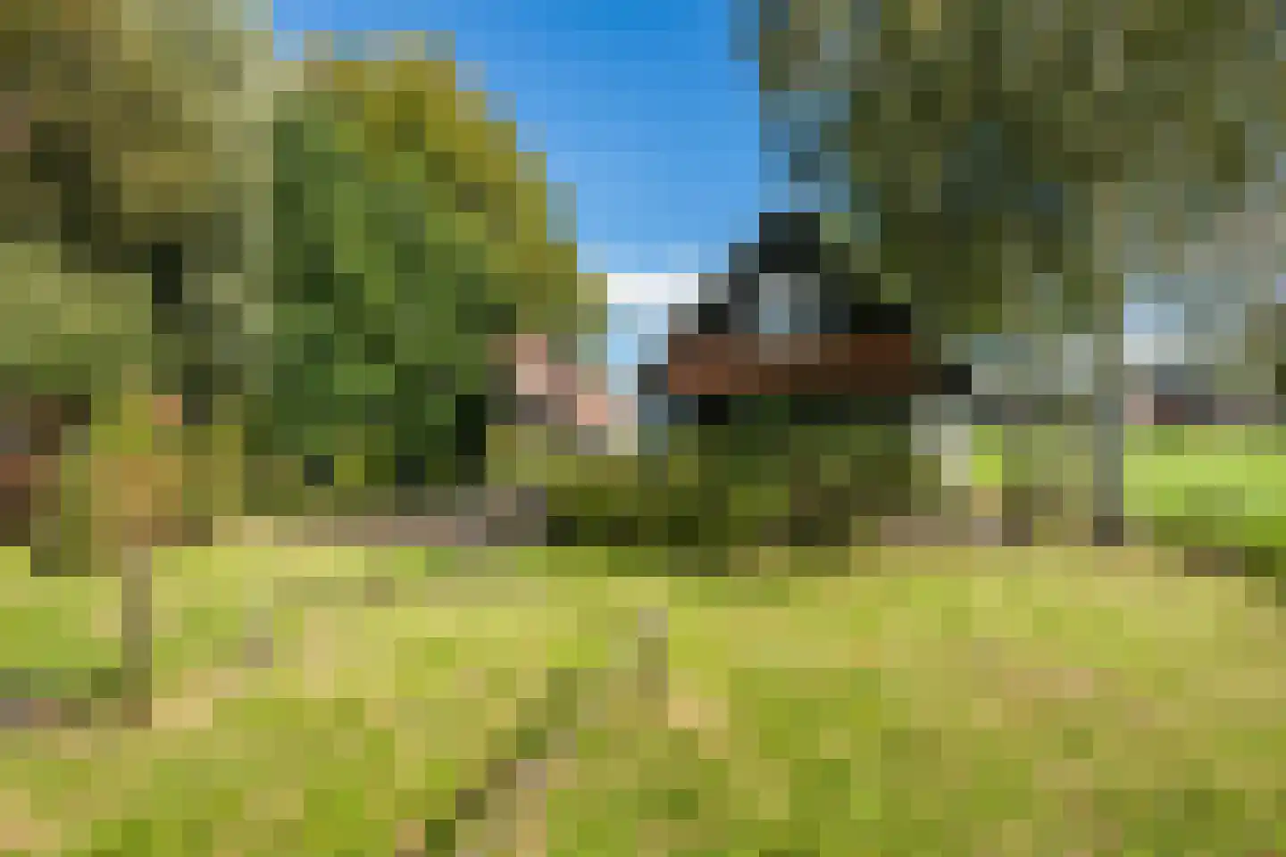 Schapendijk 28 Punthorst thumbnail 47