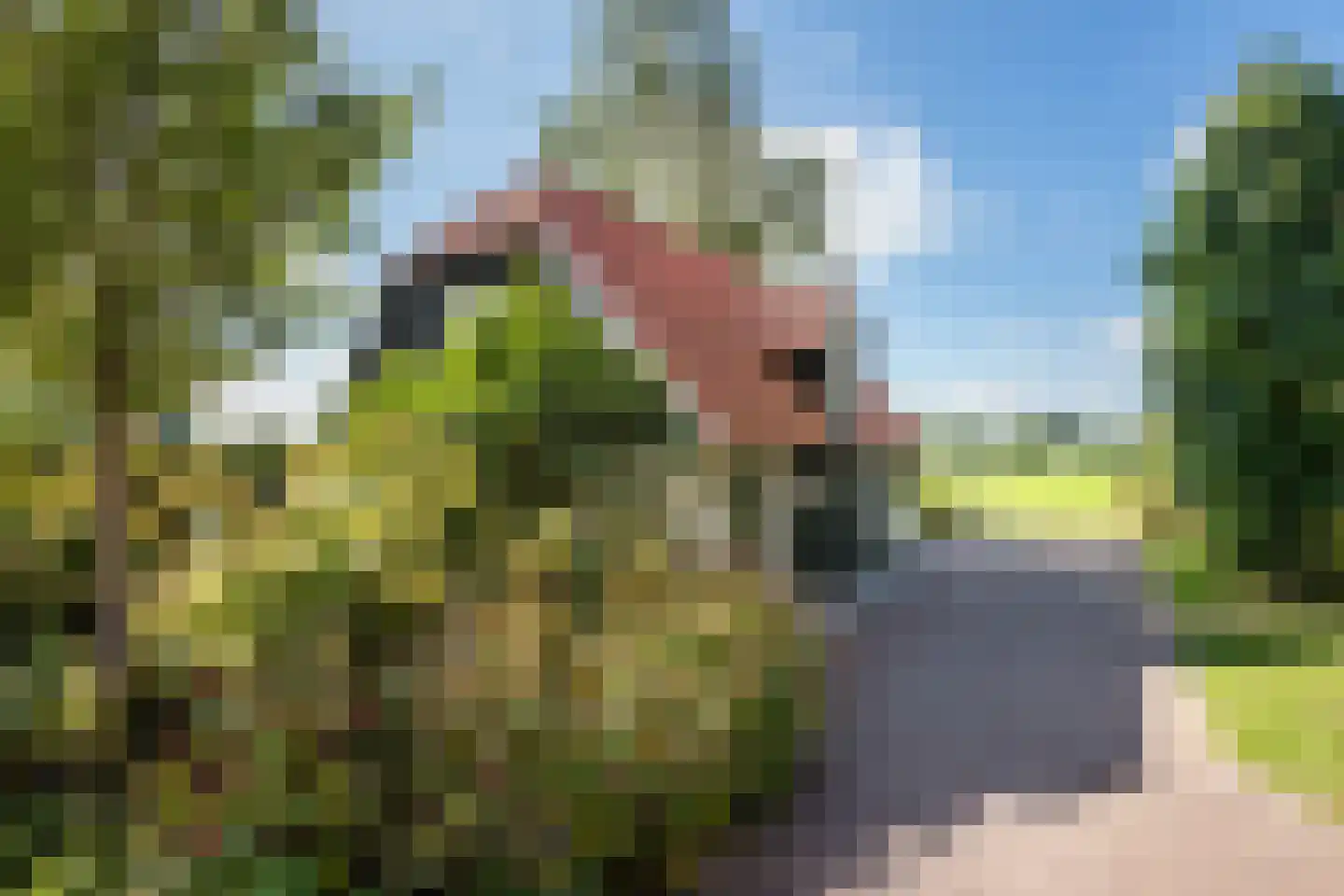 Schapendijk 28 Punthorst thumbnail 49