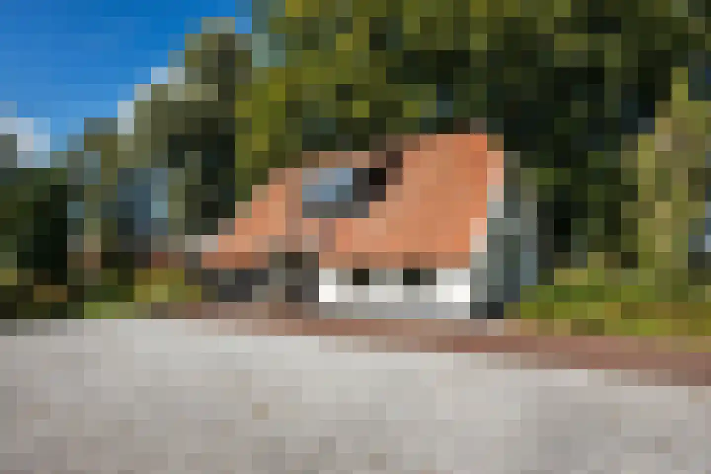 Schapendijk 28 Punthorst thumbnail 5