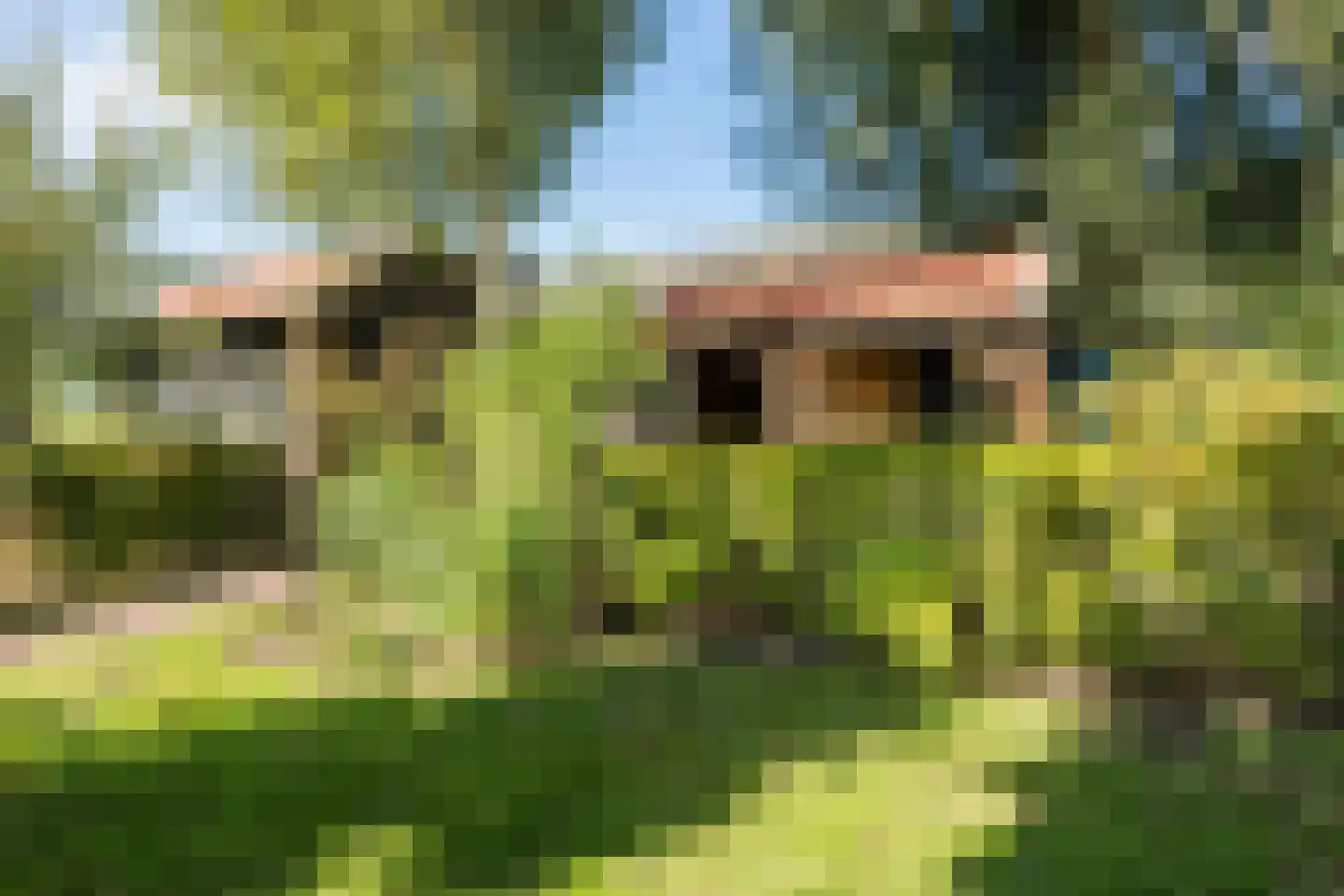 Schapendijk 28 Punthorst thumbnail 55