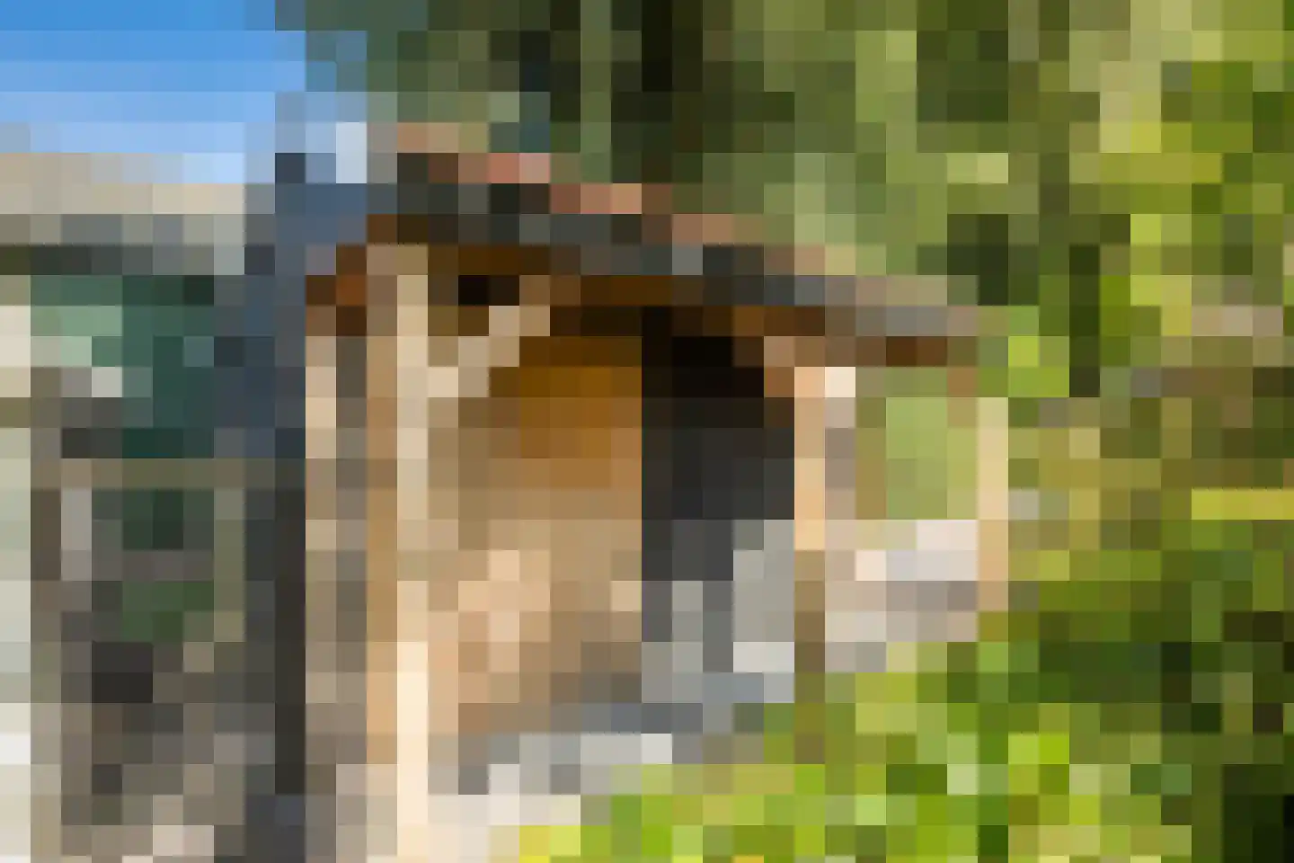 Schapendijk 28 Punthorst thumbnail 56