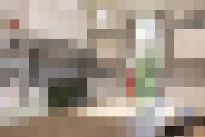 Schapendijk 7 Holten thumbnail 16