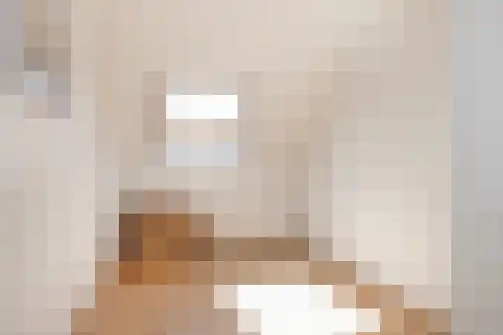 Schapendijk 7 Holten thumbnail 32