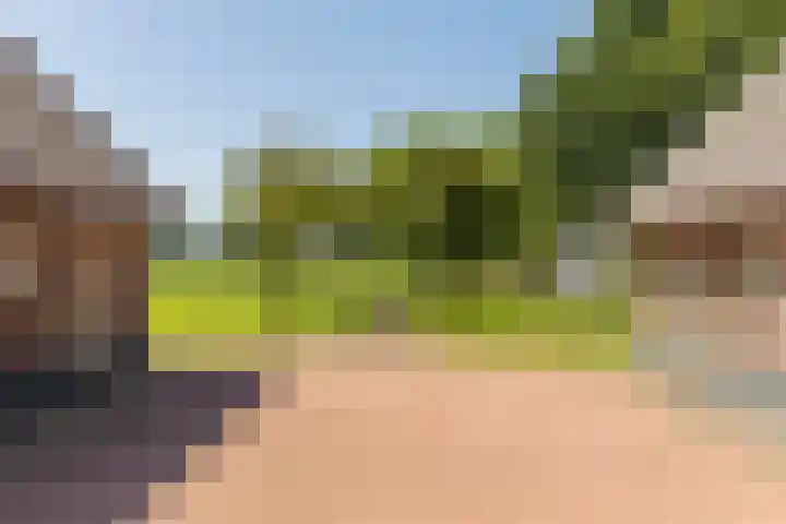 Schapendijk 7 Holten thumbnail 37