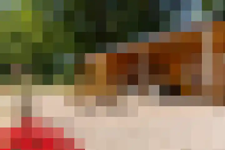 Schapendijk 7 Holten thumbnail 51