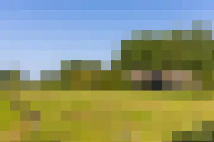 Schapendijk 7 Holten thumbnail 56